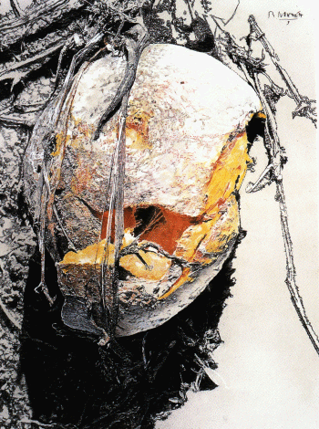 loading, please wait